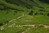 2015-06-25_06EngAlm (193).JPG